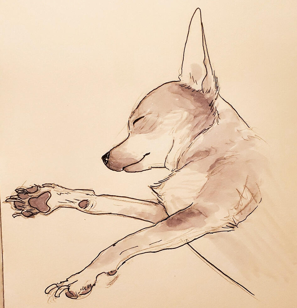 Cooper [Ink, Marker]